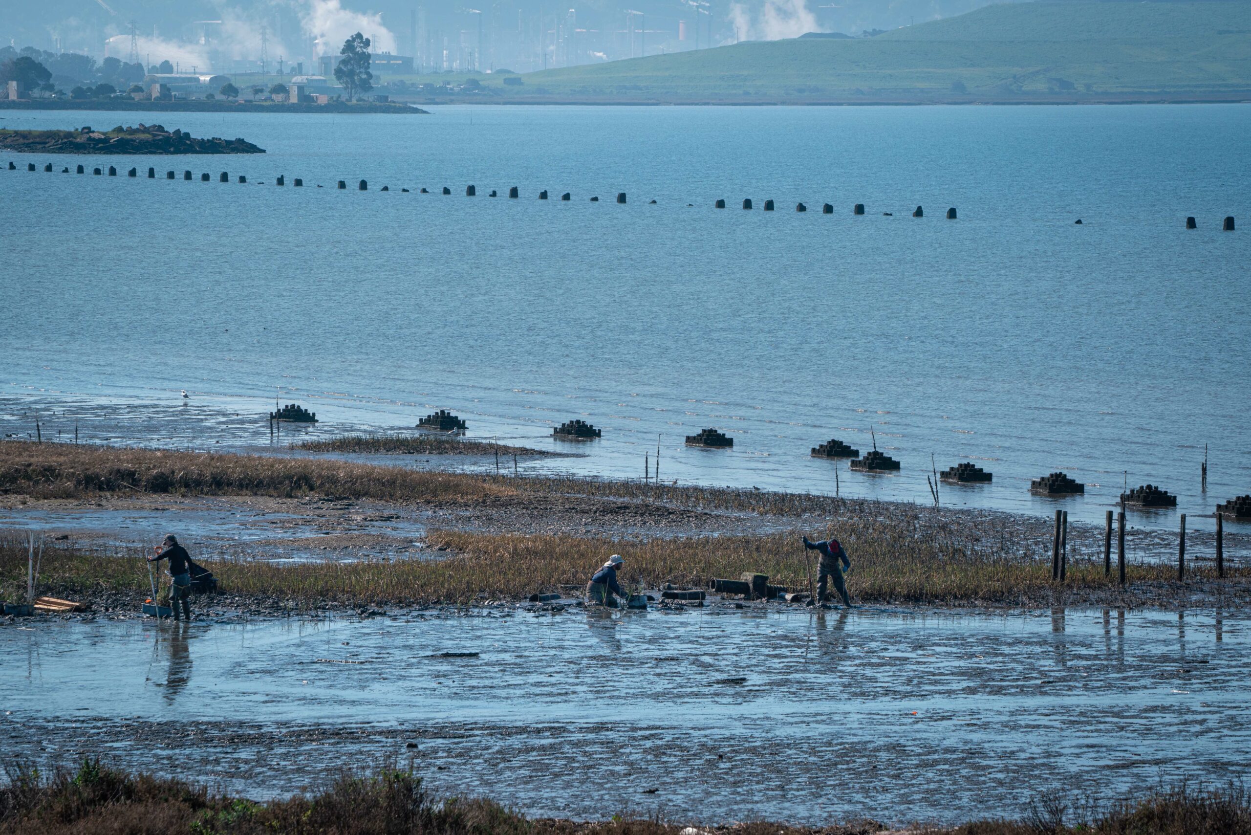 Giant Marsh transitions